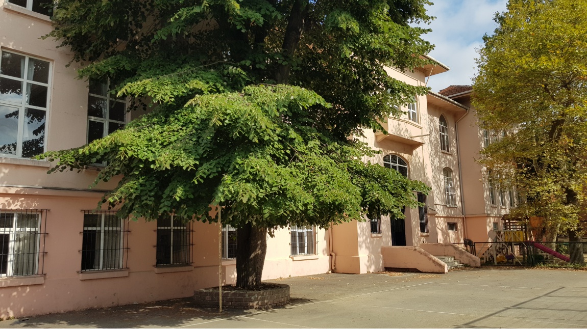 Burhan Felek Anadolu Lisesi Fotoğrafı